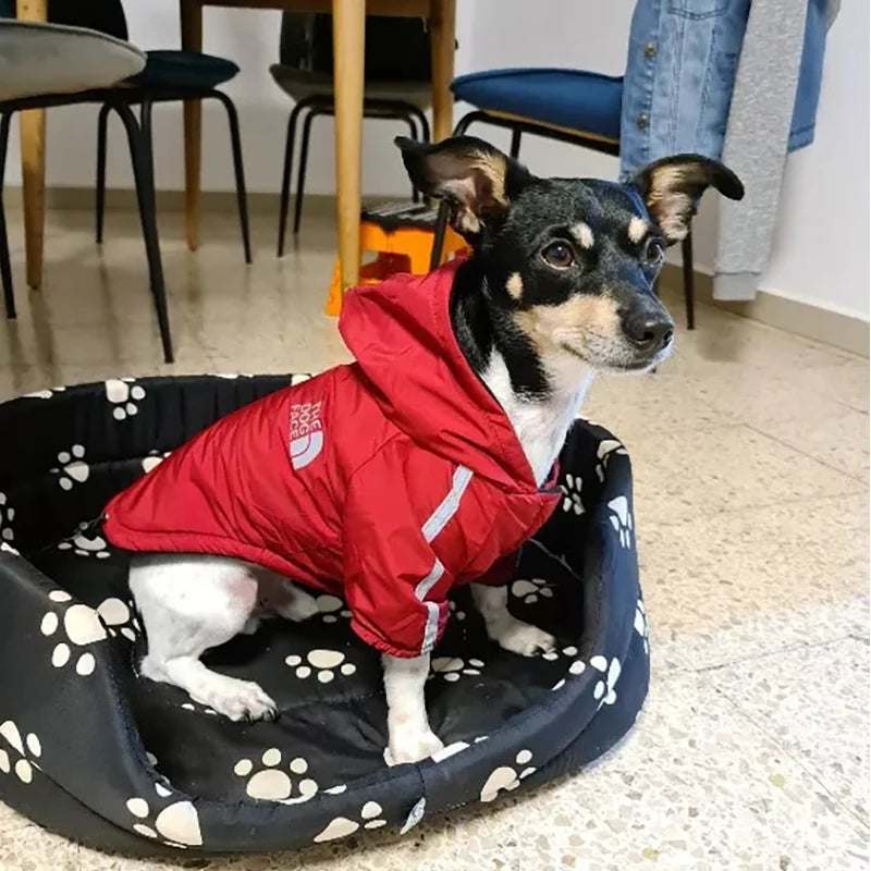 Chaqueta impermeable con forro polar cálido de invierno para perritos